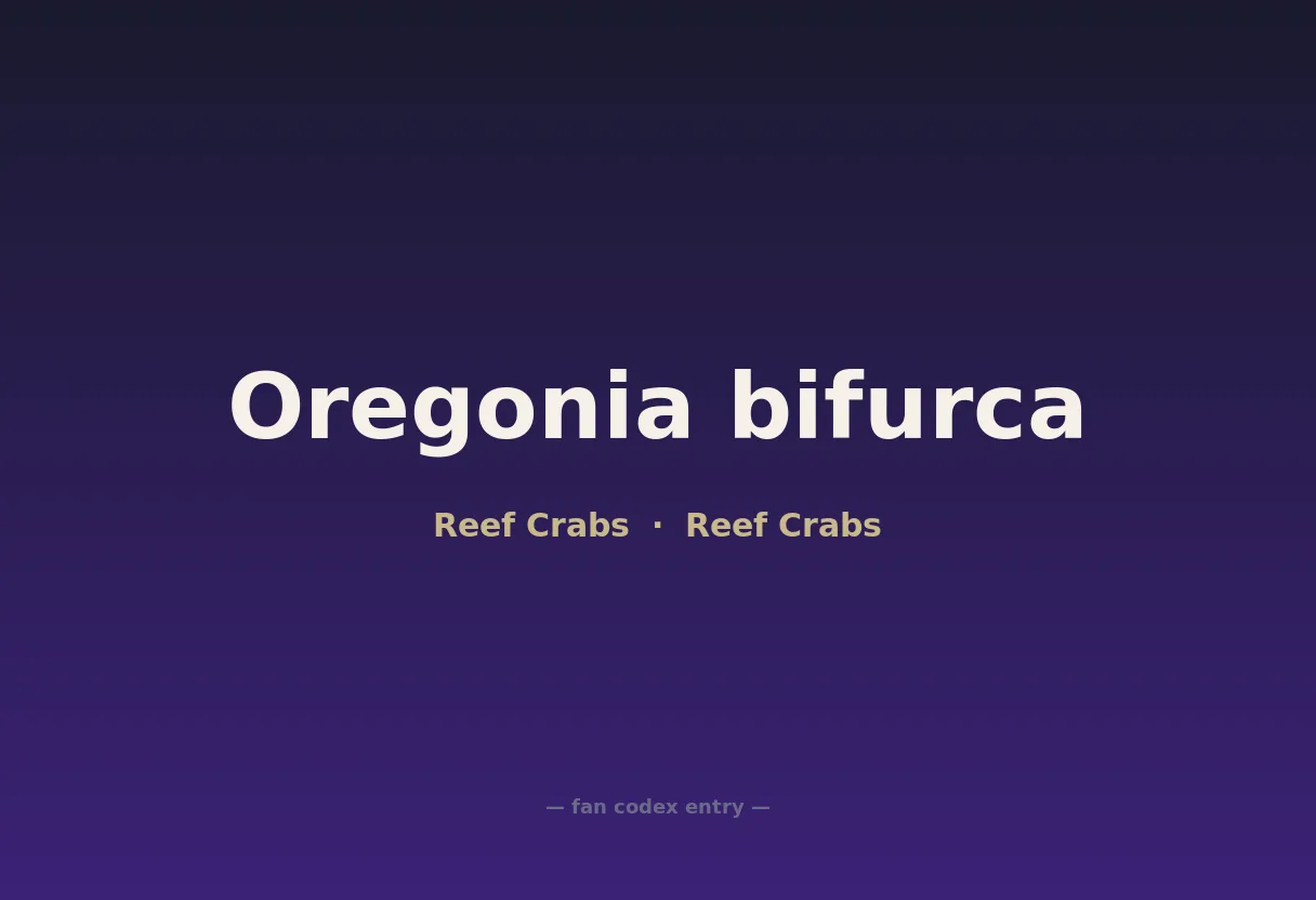 Oregonia bifurca