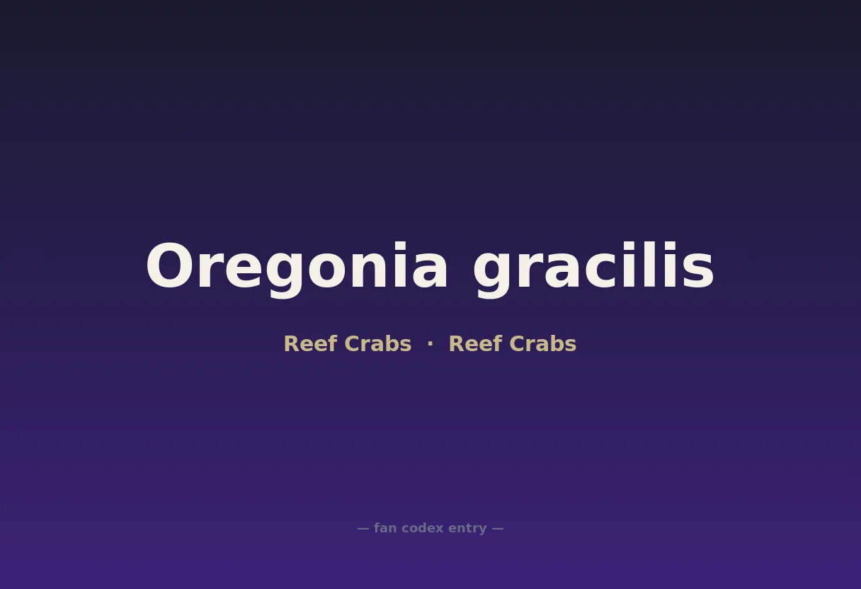 Oregonia gracilis