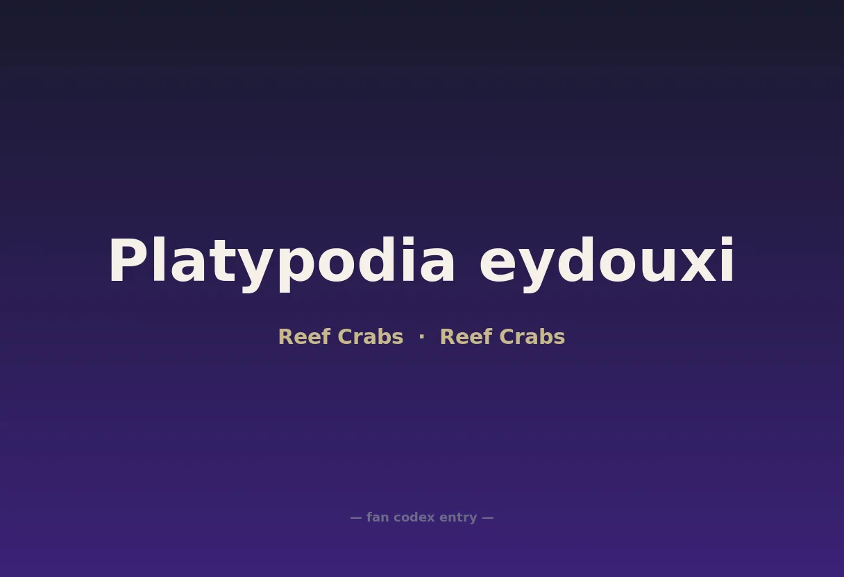 Platypodia eydouxi