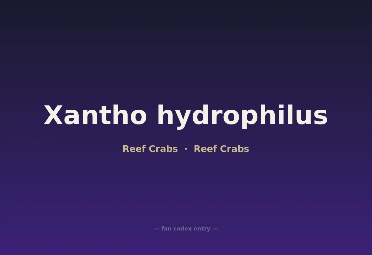 Xantho hydrophilus