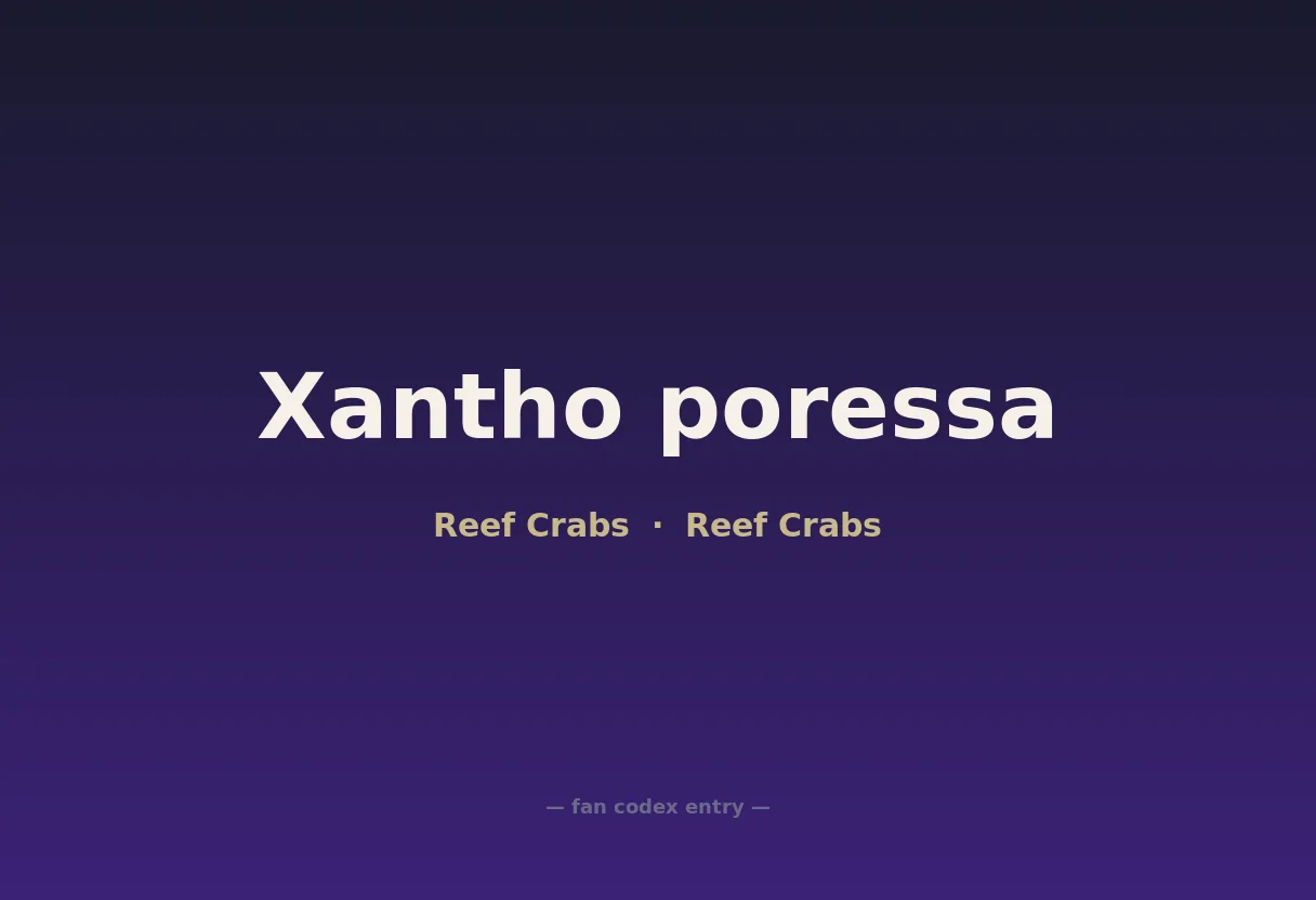 Xantho poressa