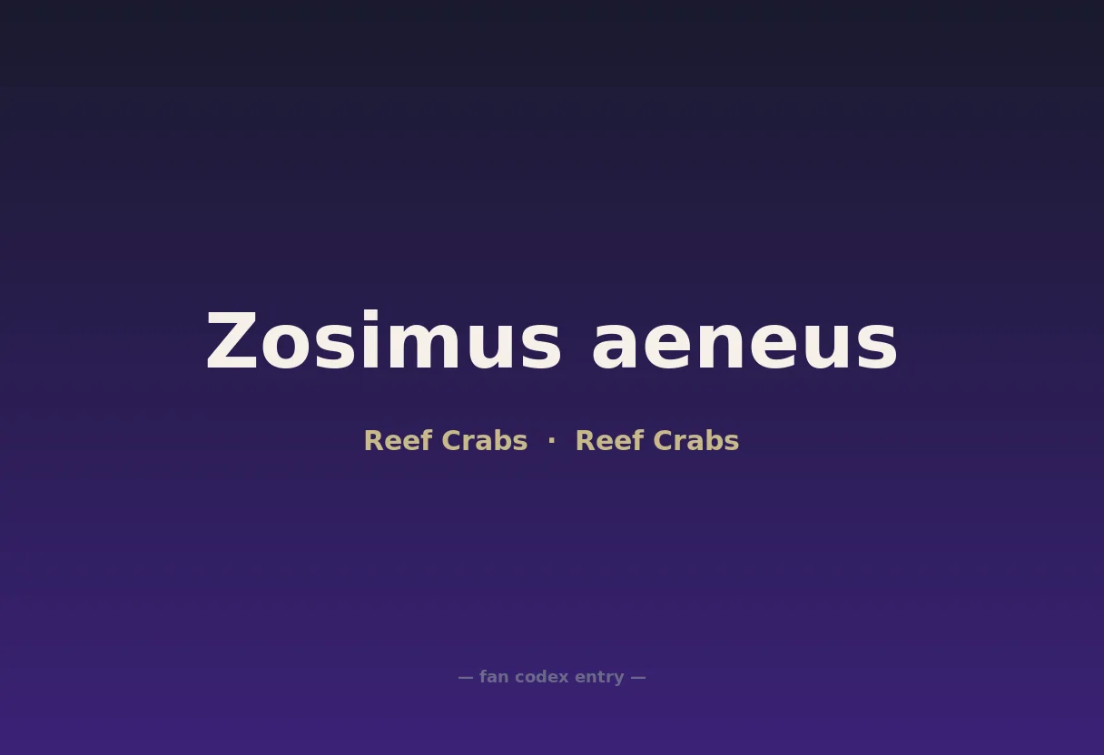 Zosimus aeneus
