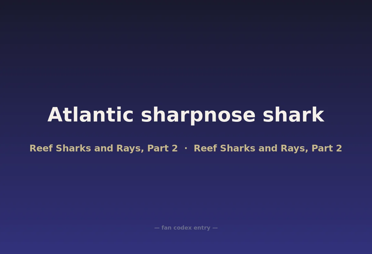 Atlantic sharpnose shark