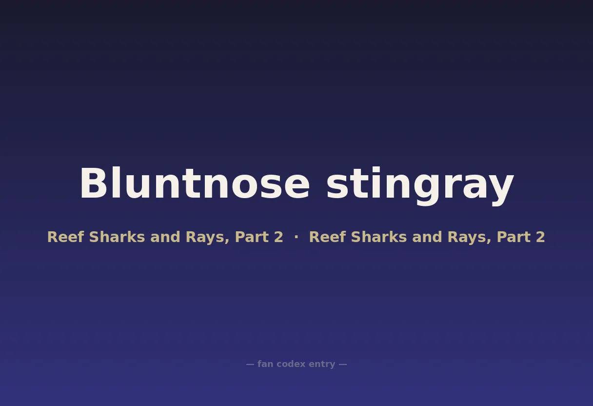 Bluntnose stingray