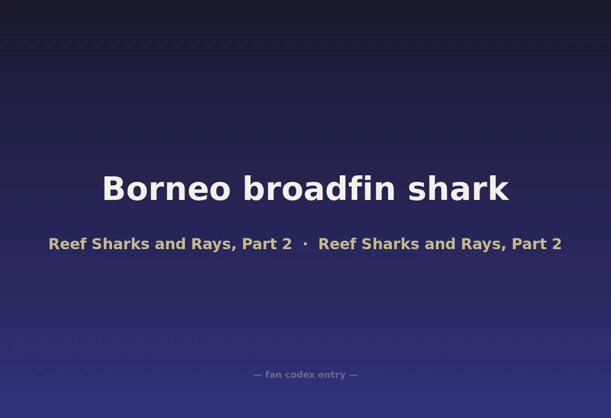 Borneo broadfin shark