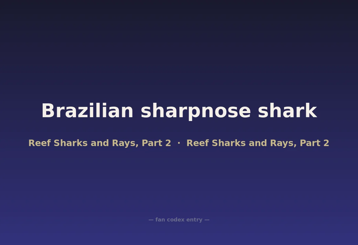Brazilian sharpnose shark