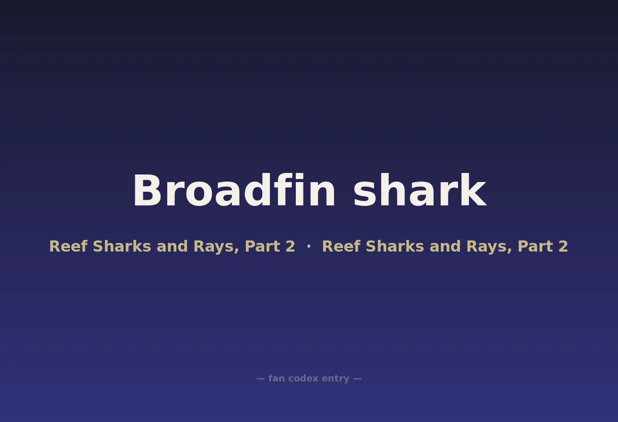 Broadfin shark