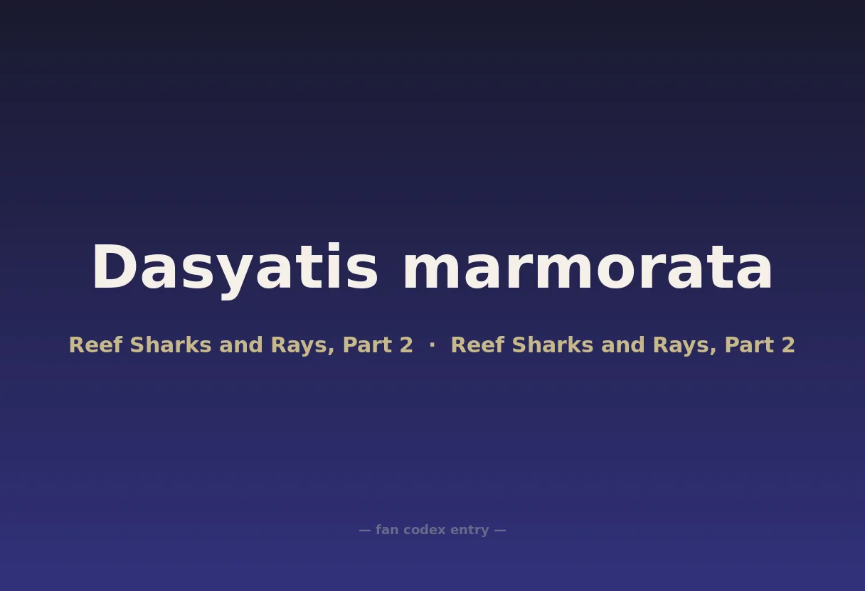 Dasyatis marmorata