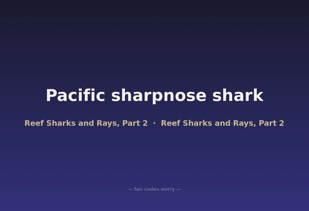 Pacific sharpnose shark