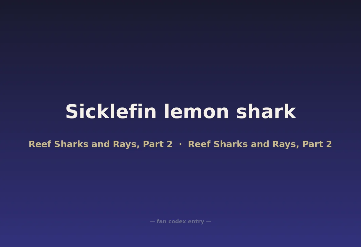 Sicklefin lemon shark