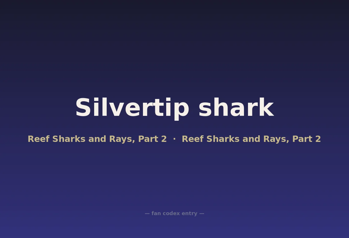 Silvertip shark