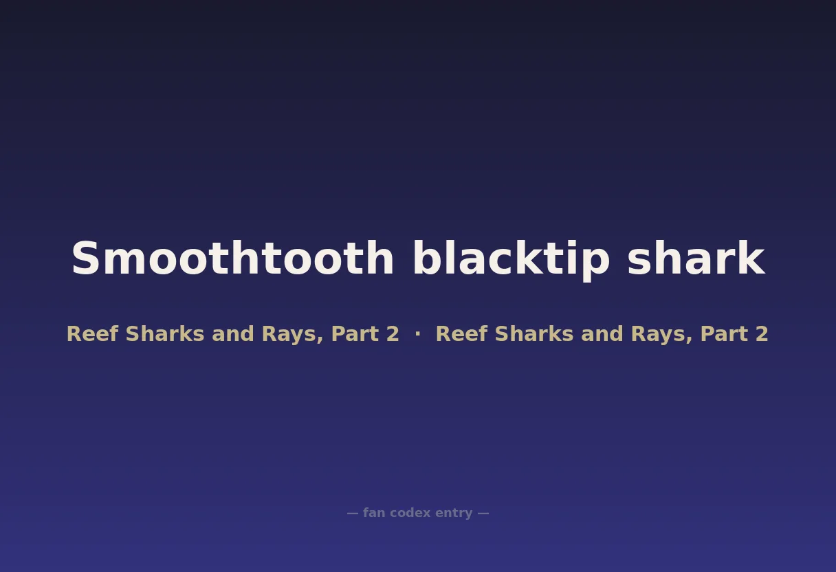 Smoothtooth blacktip shark