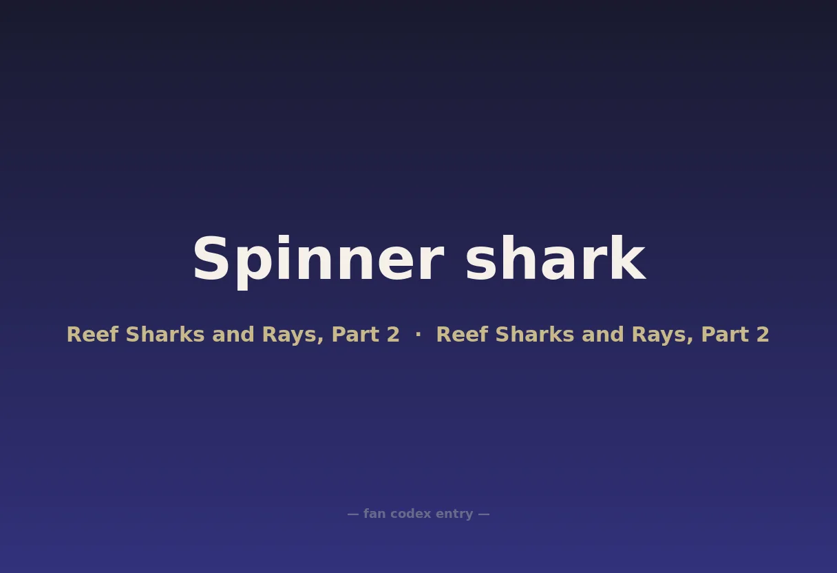 Spinner shark