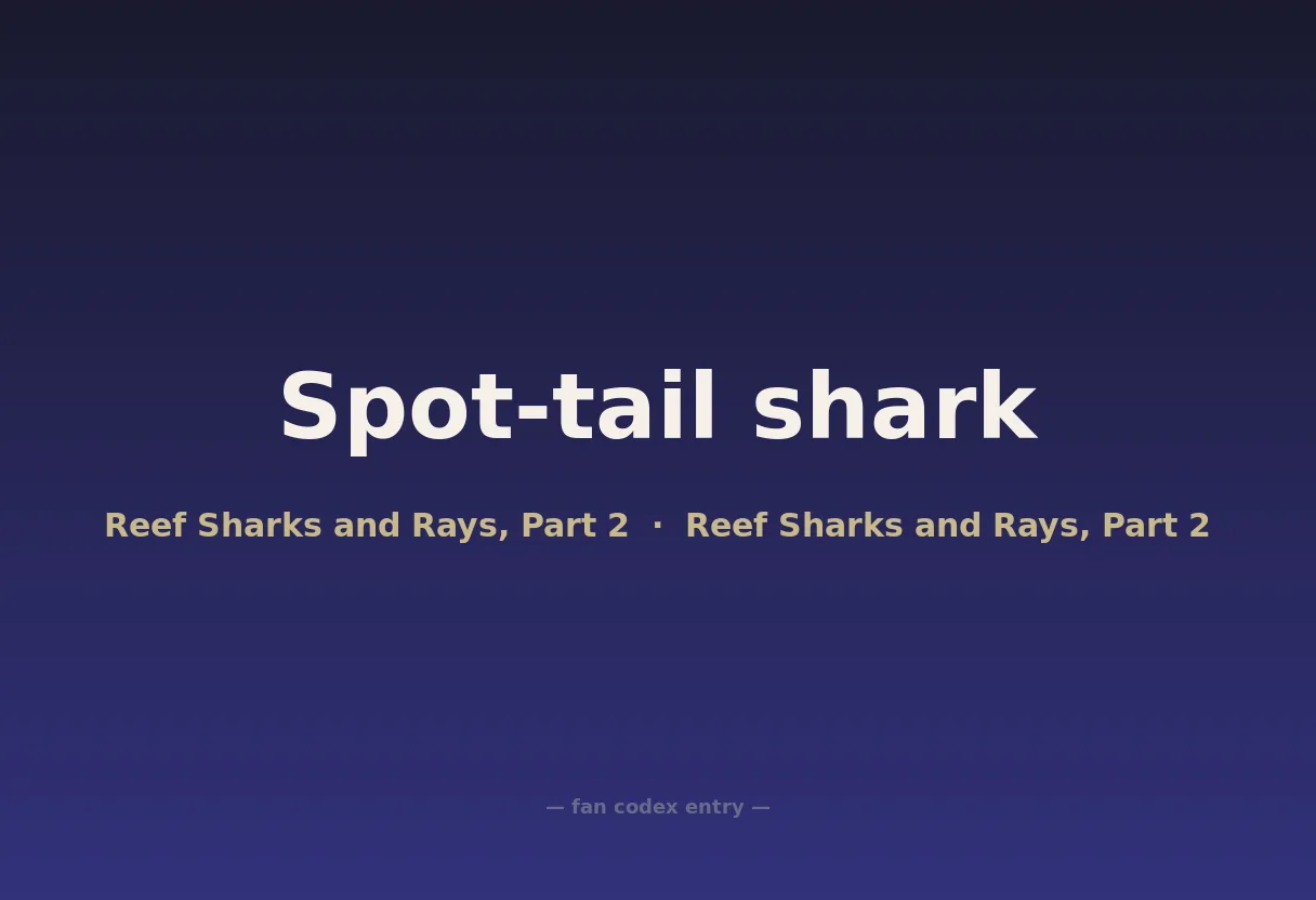 Spot-tail shark