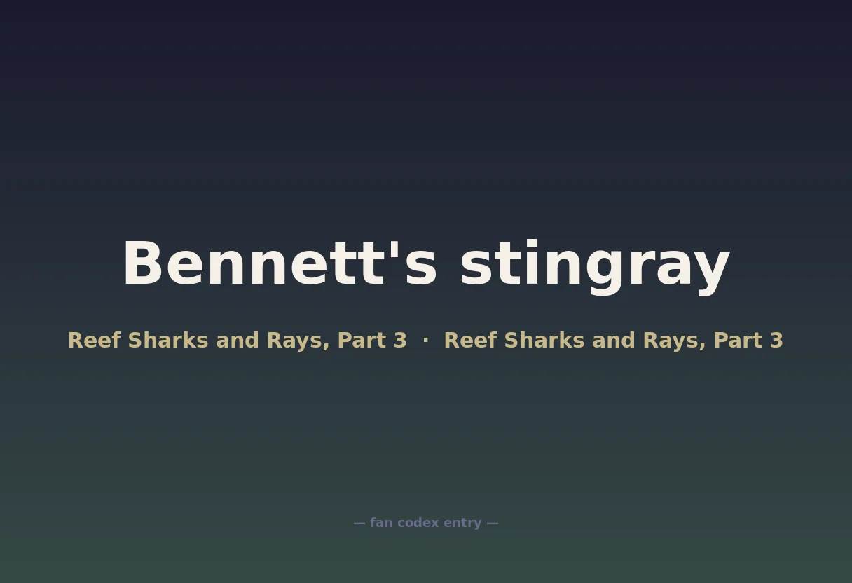 Bennett's stingray