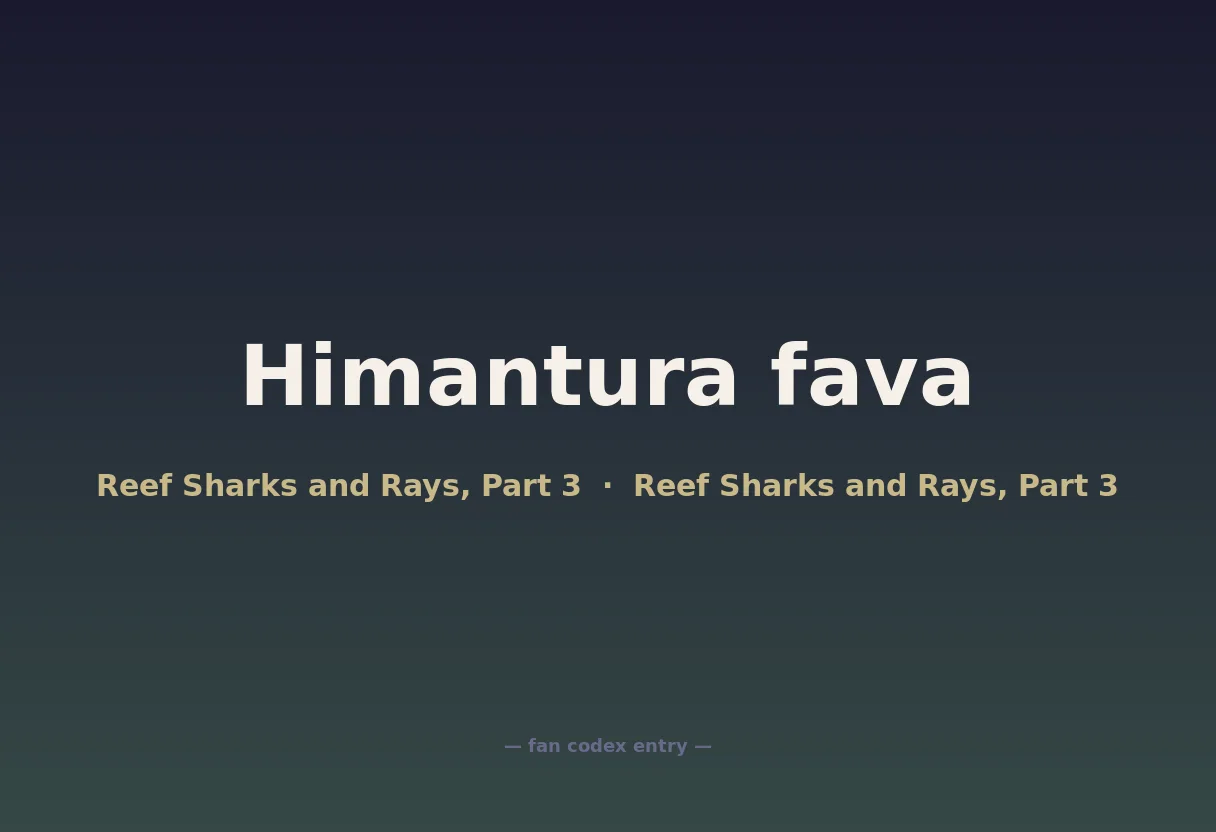 Himantura fava