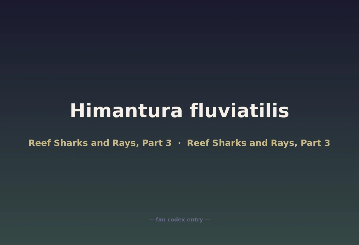 Himantura fluviatilis