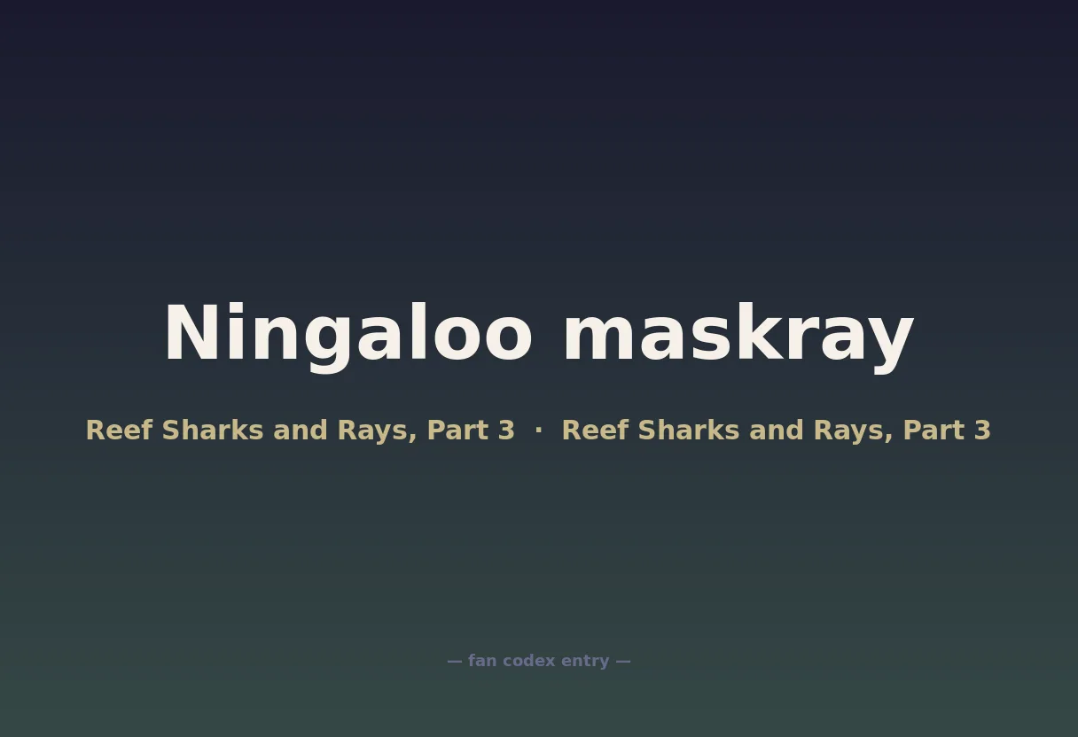 Ningaloo maskray