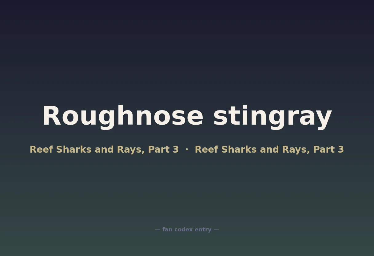 Roughnose stingray