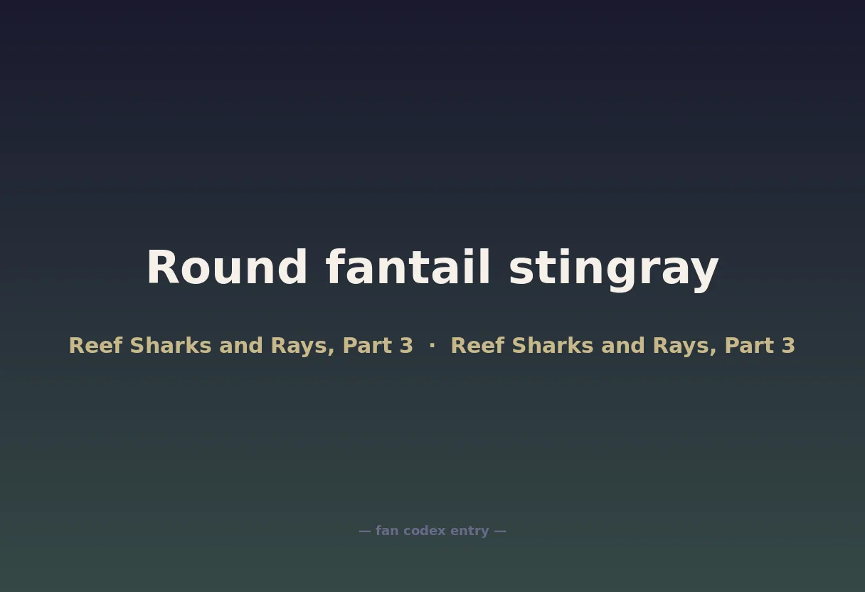 Round fantail stingray