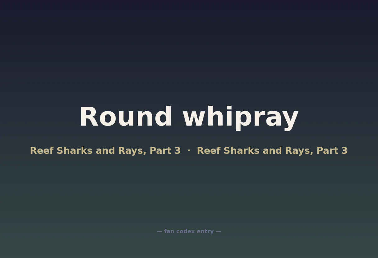 Round whipray