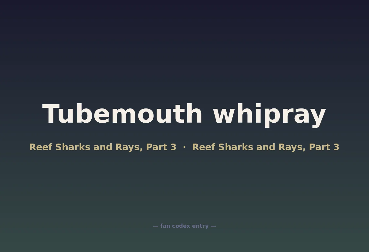 Tubemouth whipray