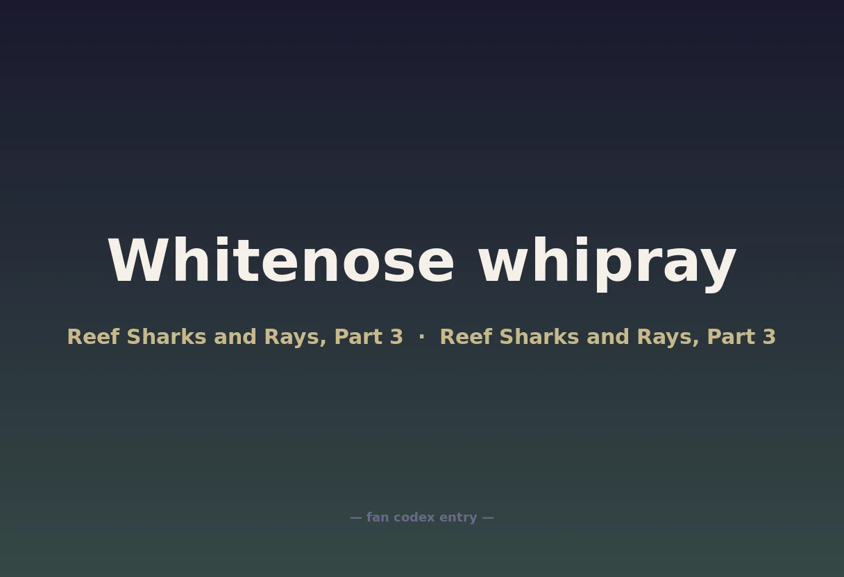 Whitenose whipray