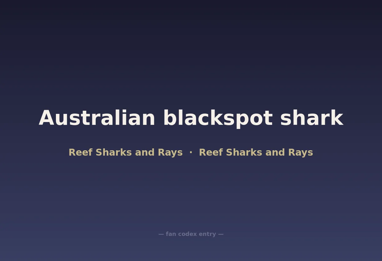 Australian blackspot shark