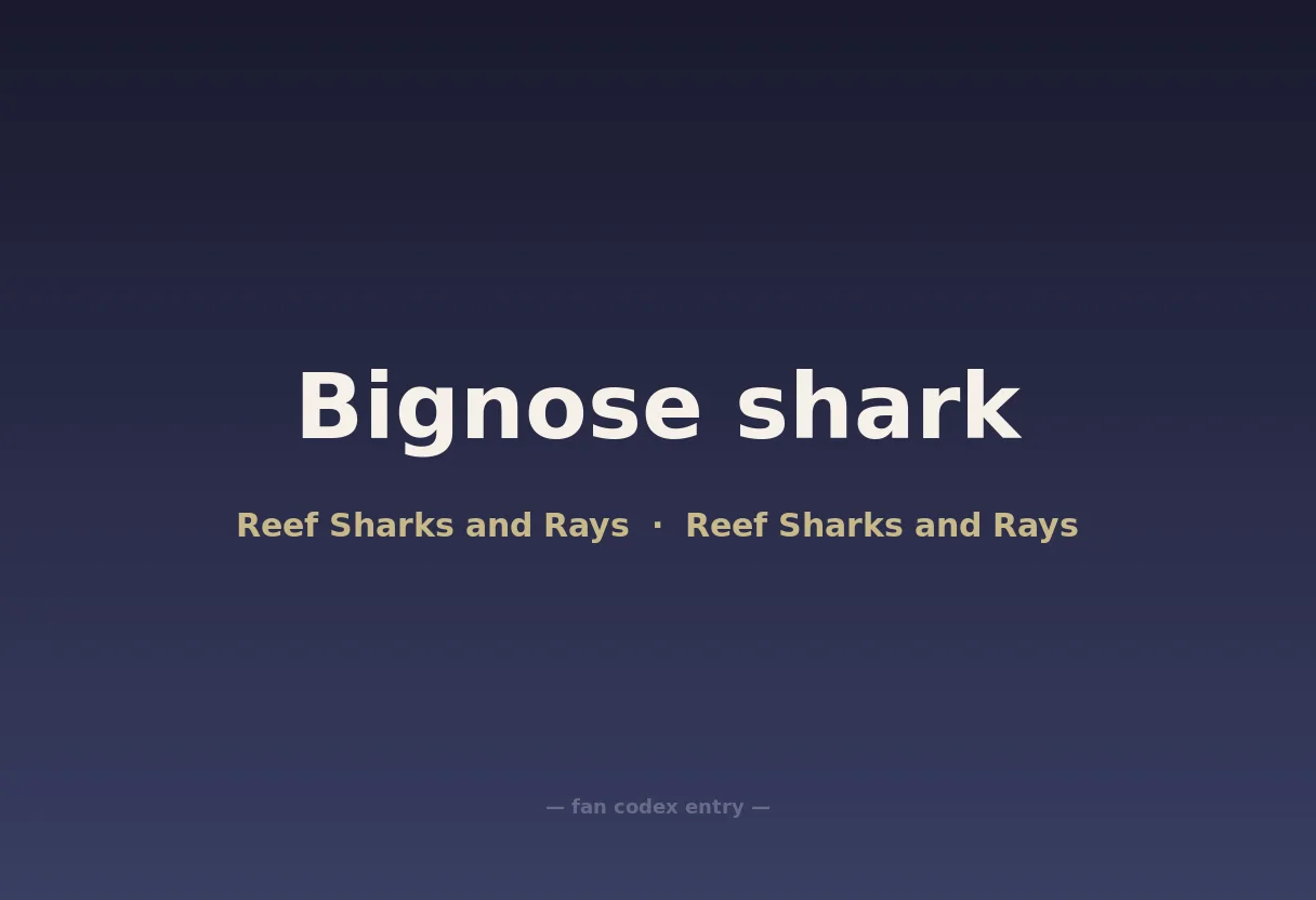 Bignose shark