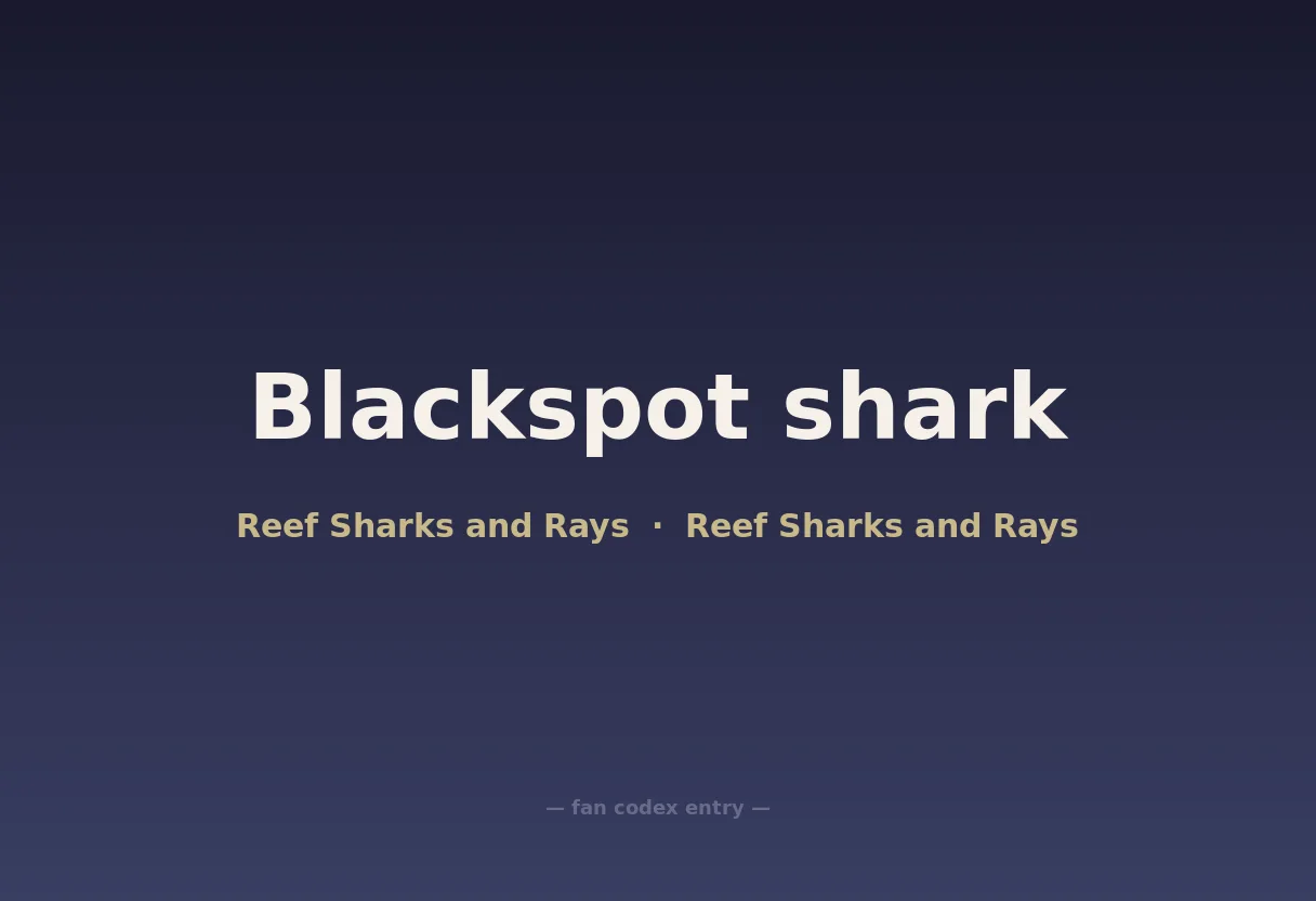 Blackspot shark