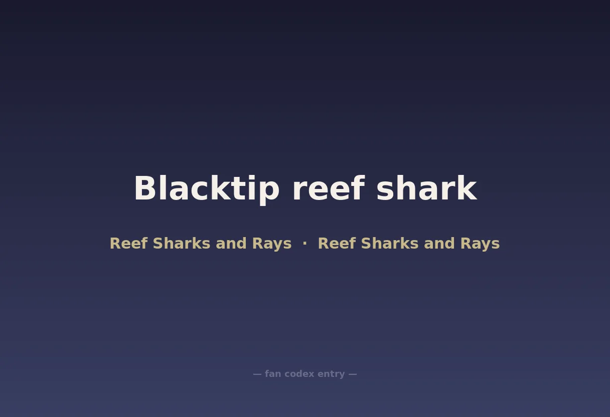 Blacktip reef shark