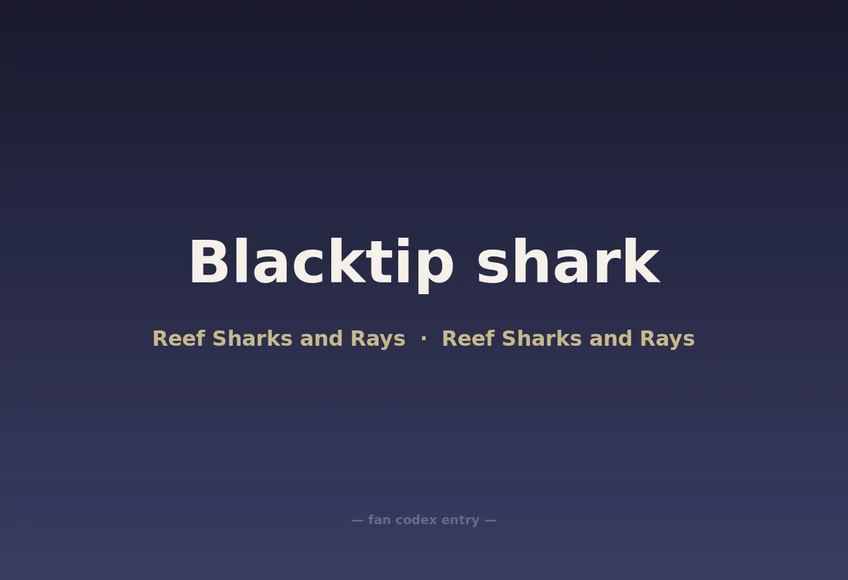 Blacktip shark