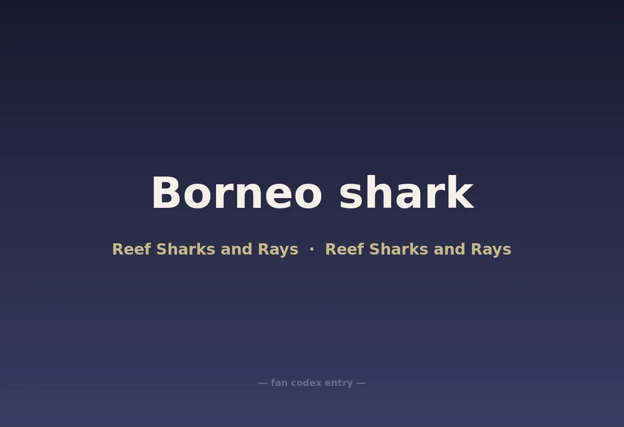 Borneo shark