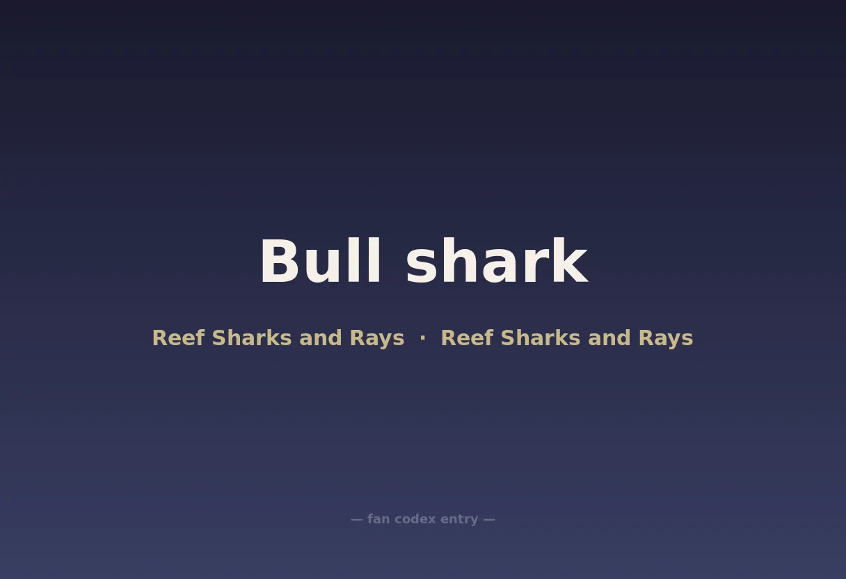 Bull shark