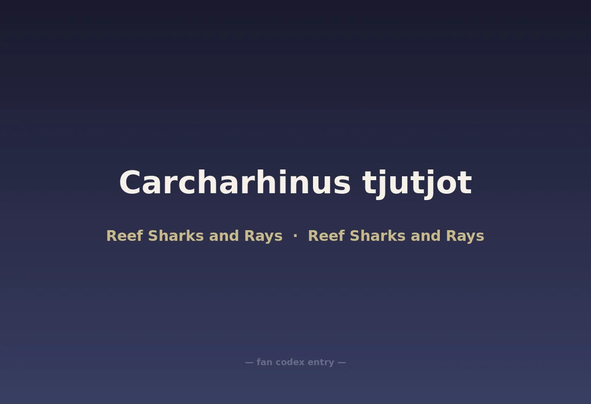 Carcharhinus tjutjot