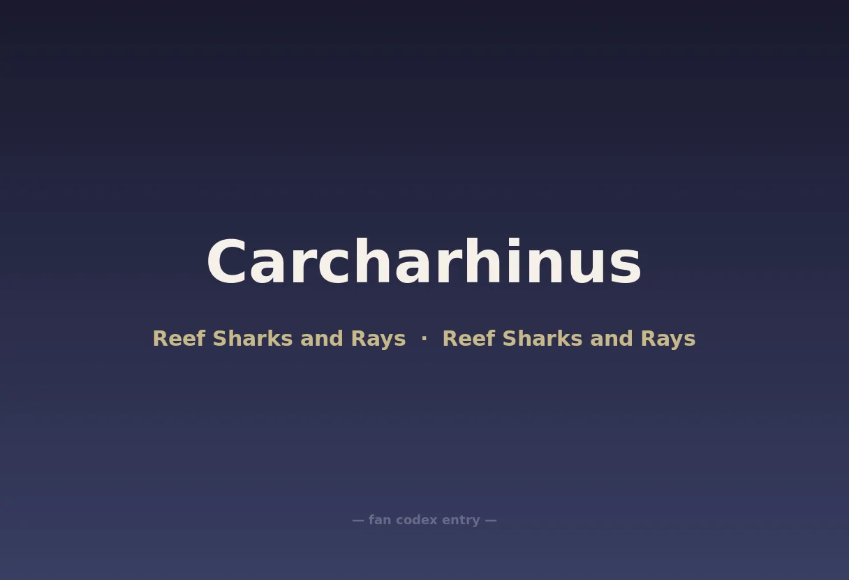 Carcharhinus