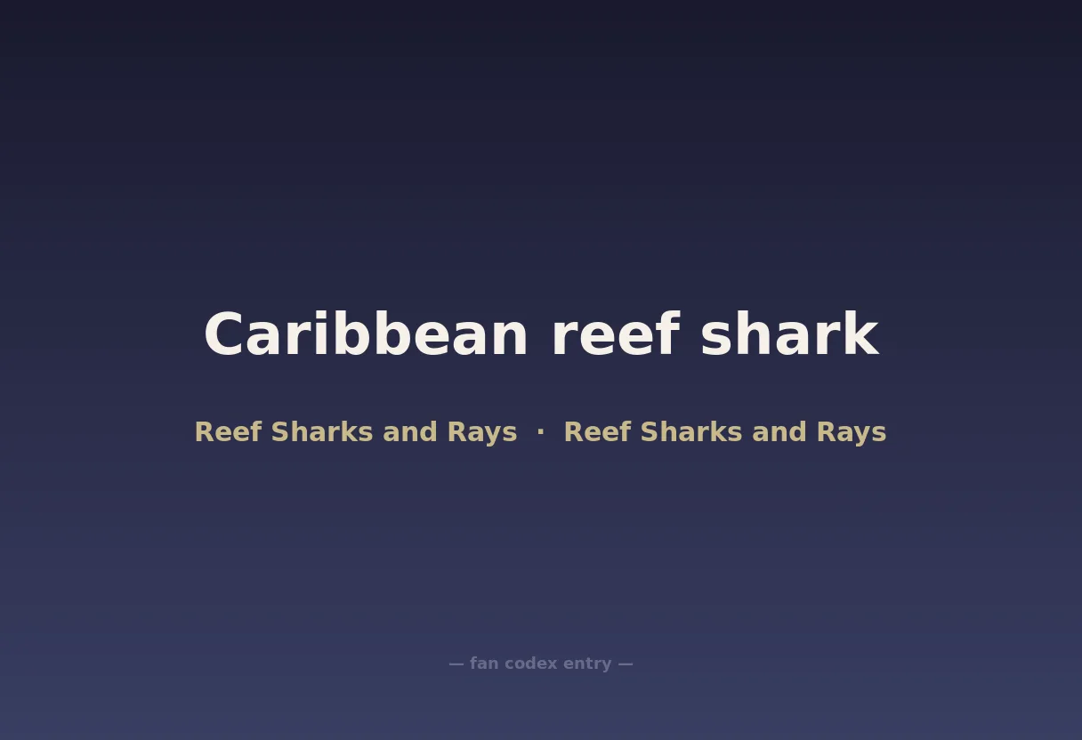 Caribbean reef shark