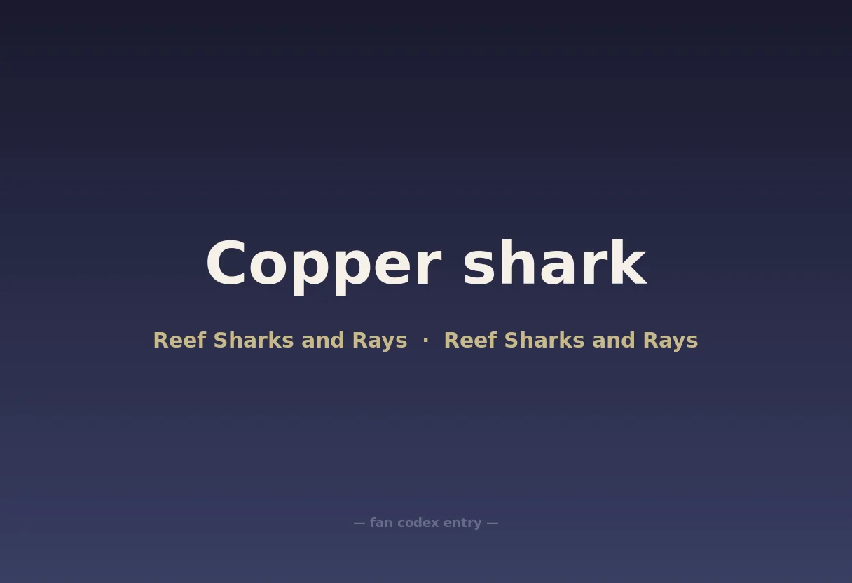 Copper shark