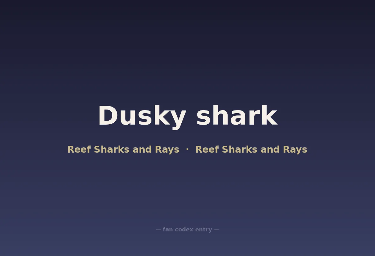 Dusky shark