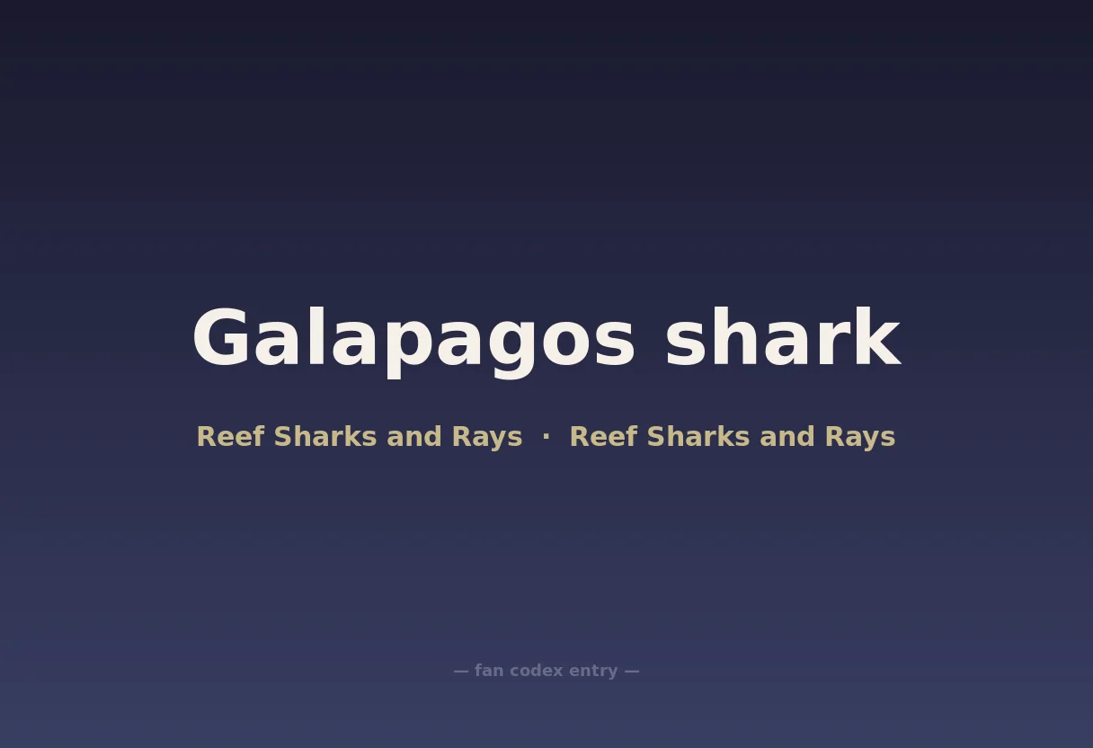 Galapagos shark