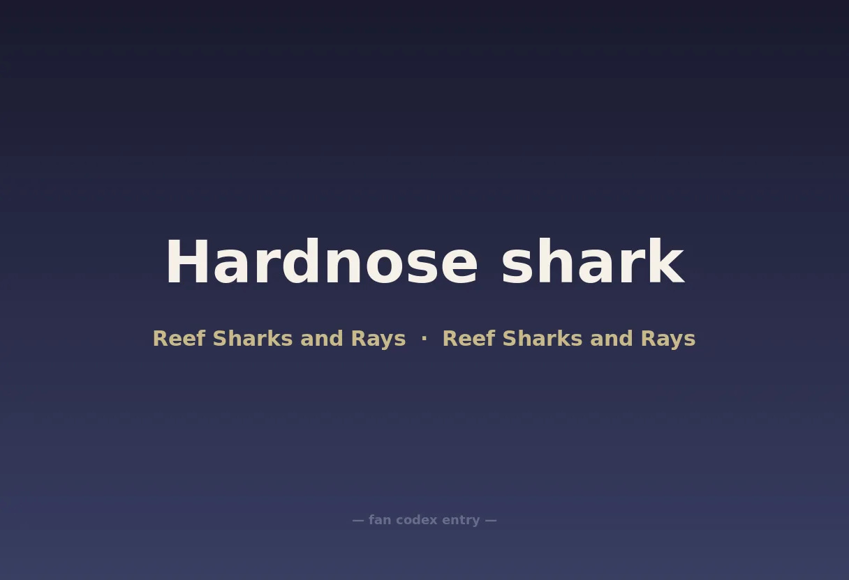 Hardnose shark