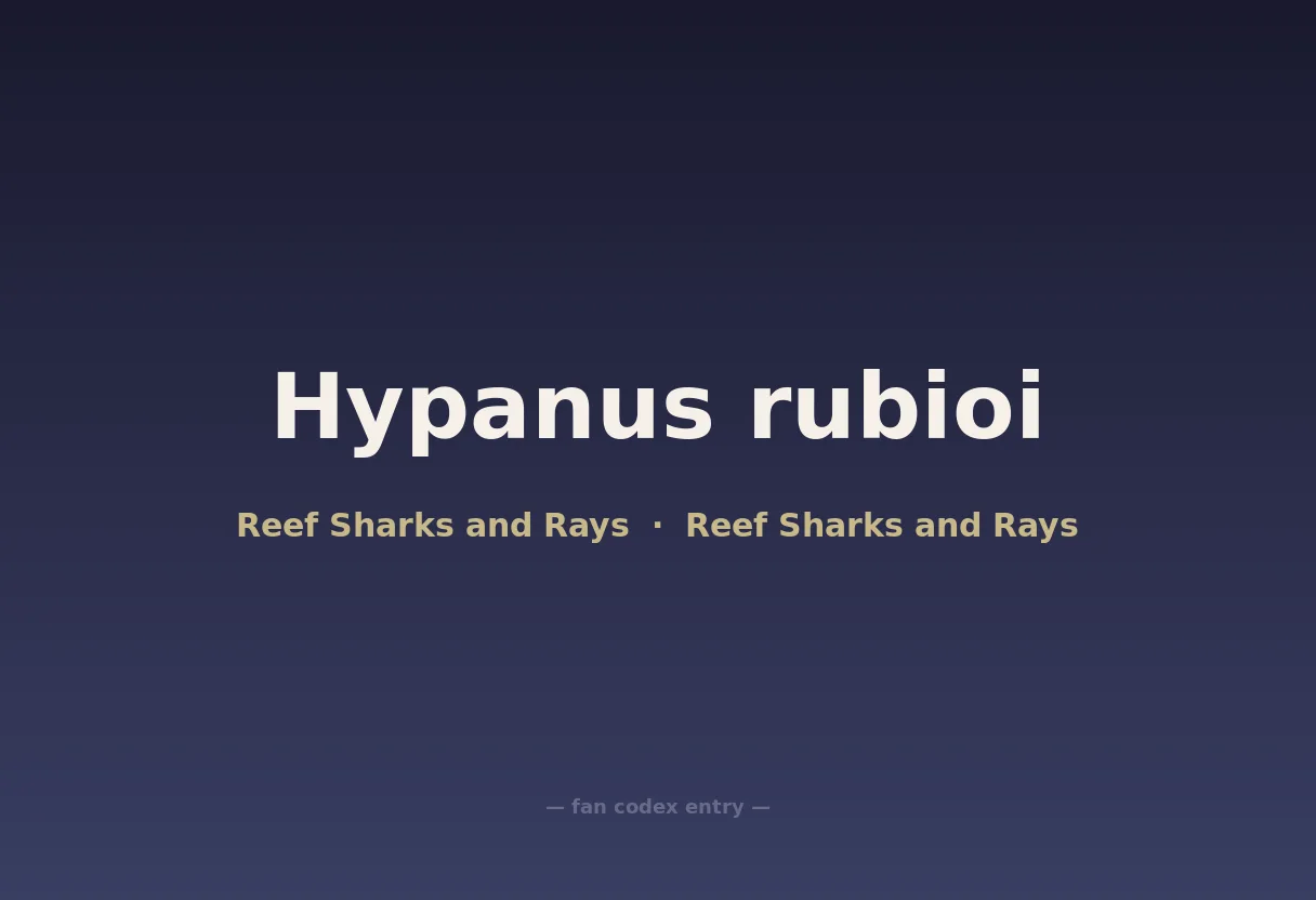 Hypanus rubioi