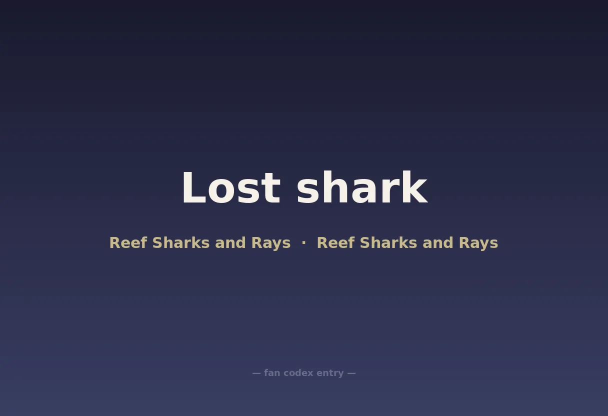 Lost shark