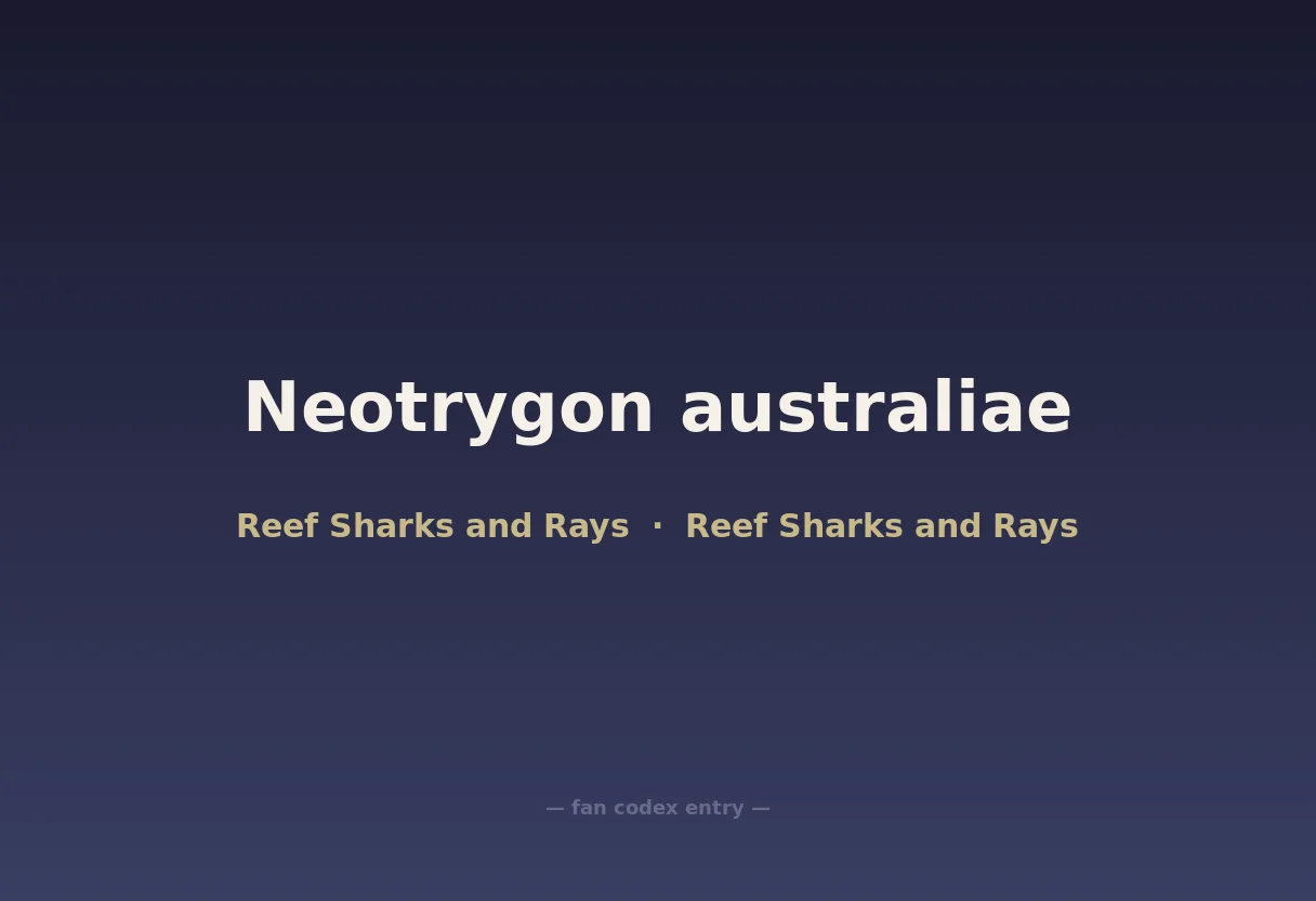 Neotrygon australiae