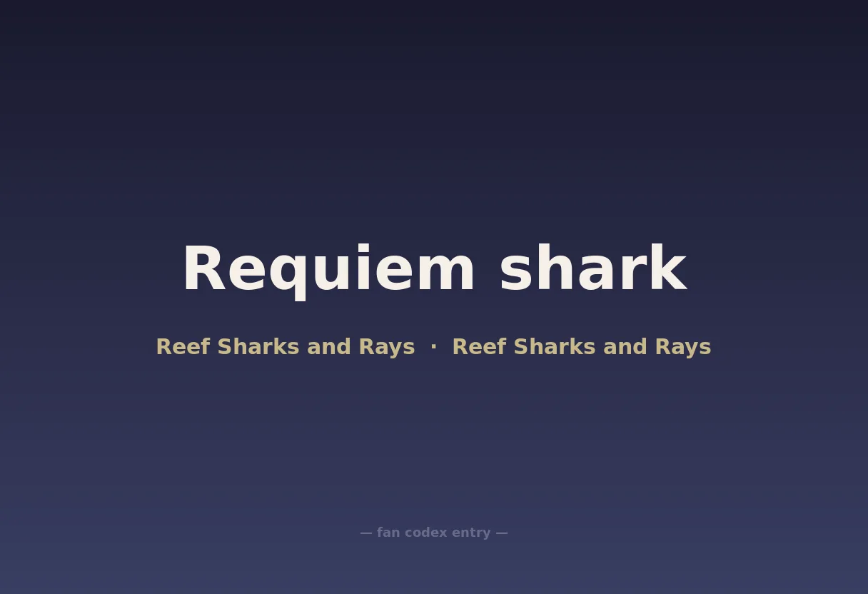 Requiem shark