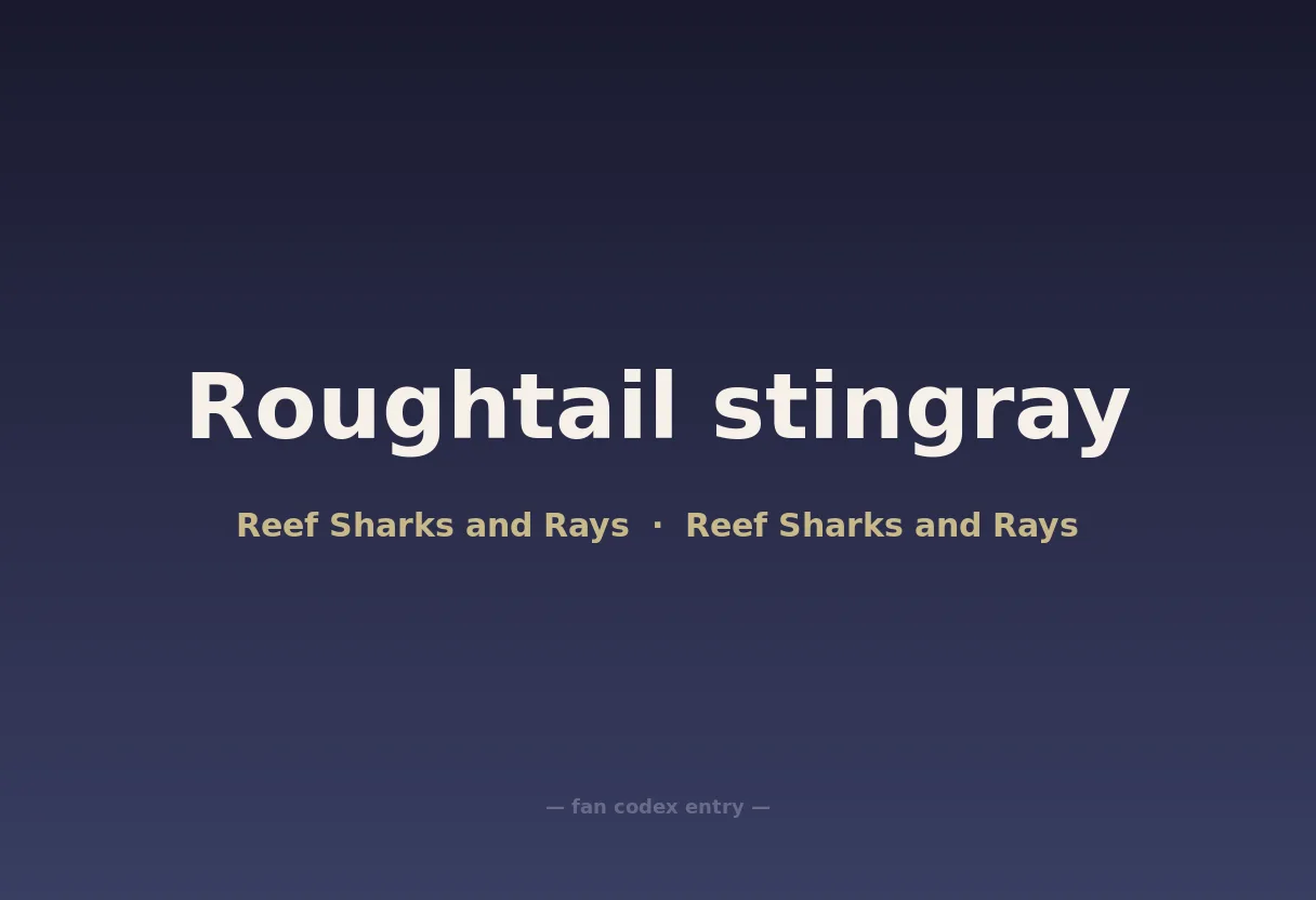 Roughtail stingray