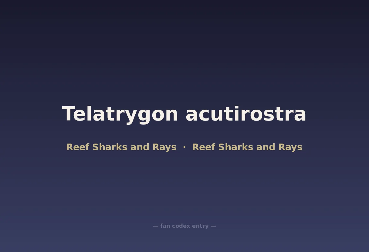 Telatrygon acutirostra