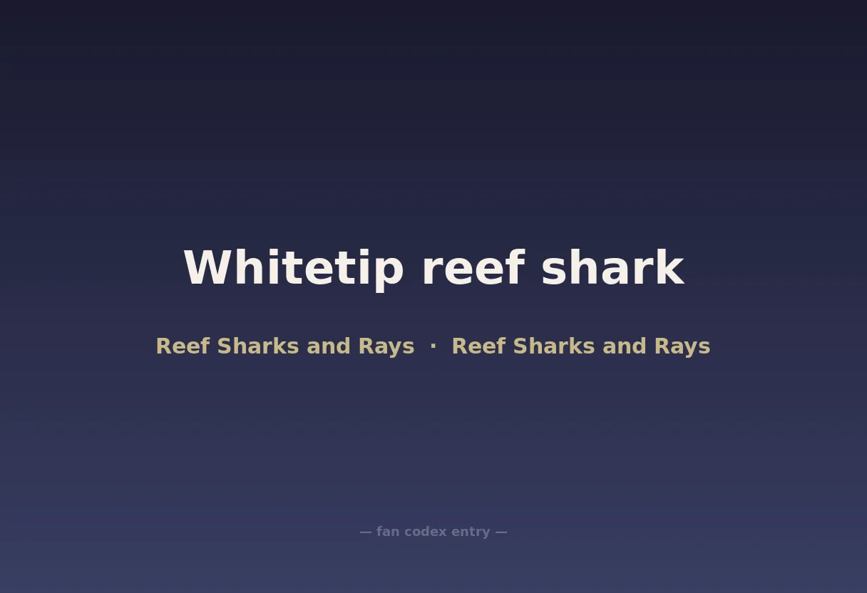 Whitetip reef shark
