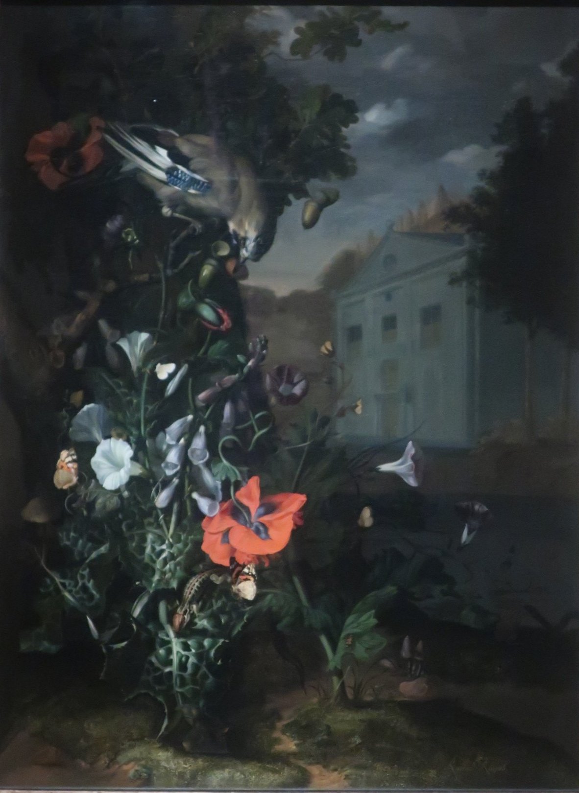 Rachel Ruysch