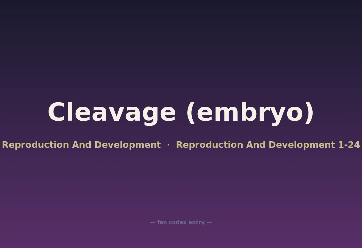 Cleavage (embryo)